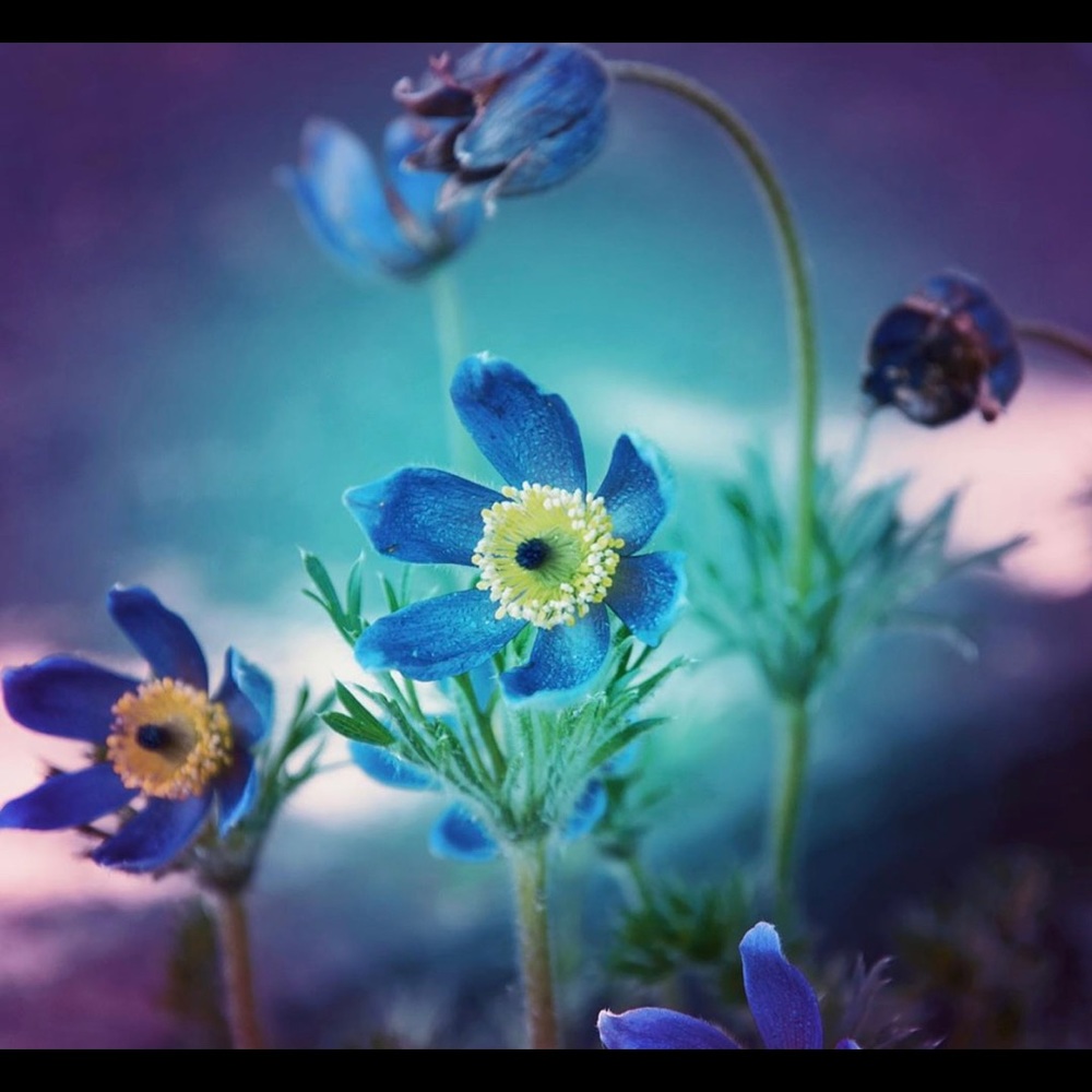 Meet your Posher, Cori